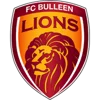 FC Bulleen Lions Women